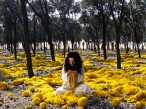 Shirin Neshat – Women Without Men artwork_images_367_440327_shirin-neshat