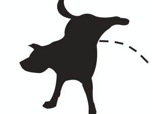 GALLERIA CINICA logo